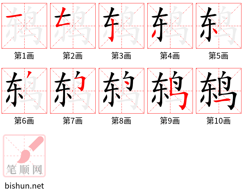 鸫 笔顺规范