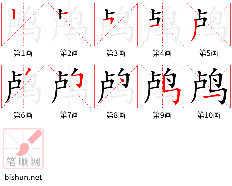 鸬 笔顺规范