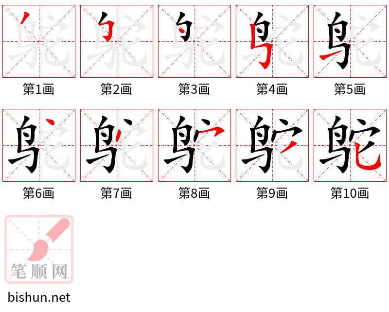 鸵 笔顺规范