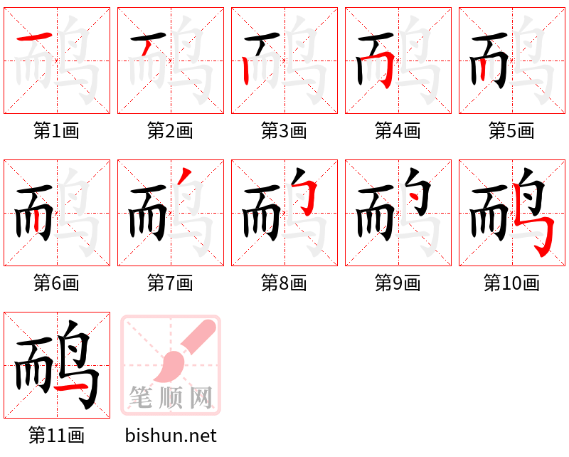 鸸 笔顺规范