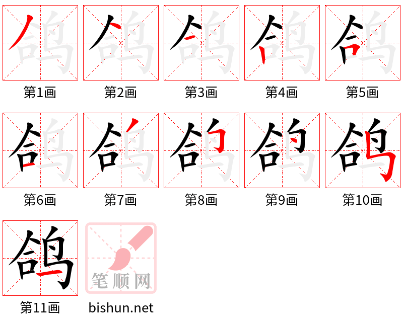 鸽 笔顺规范