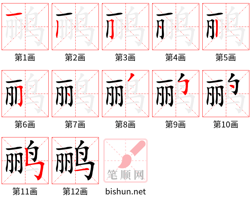 鹂 笔顺规范