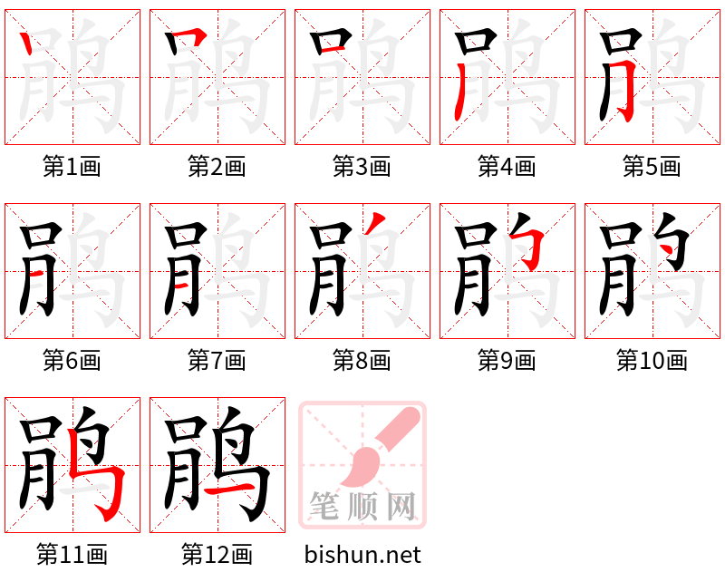 鹃 笔顺规范