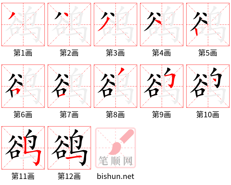 鹆 笔顺规范