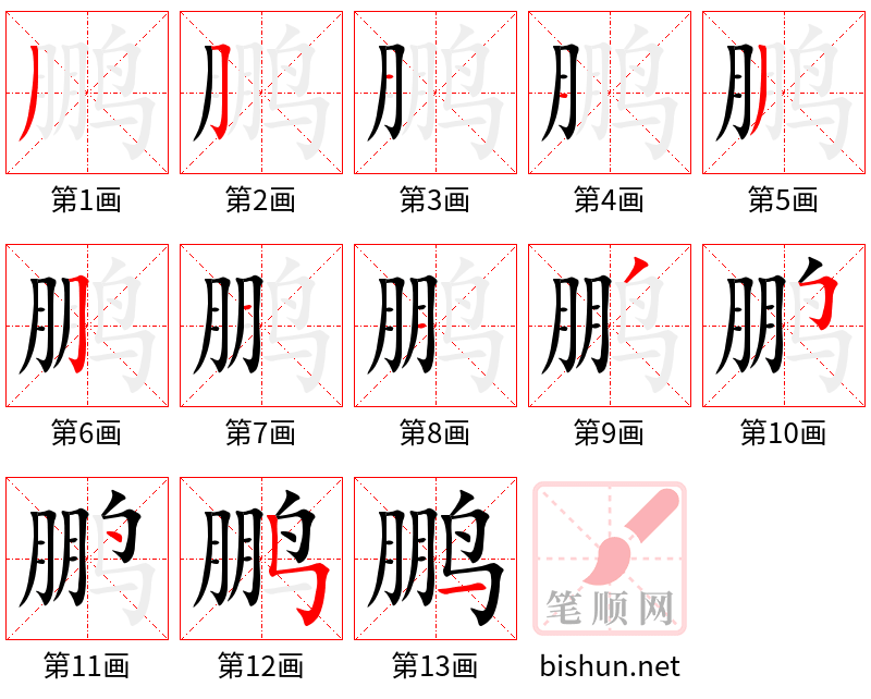 鹏 笔顺规范