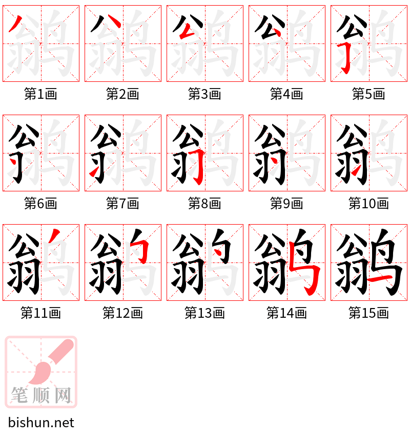 鹟 笔顺规范