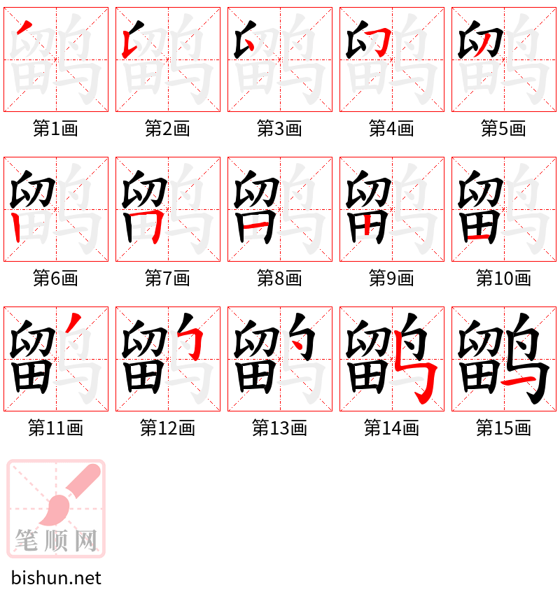 鹠 笔顺规范