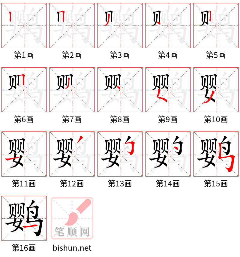 鹦 笔顺规范