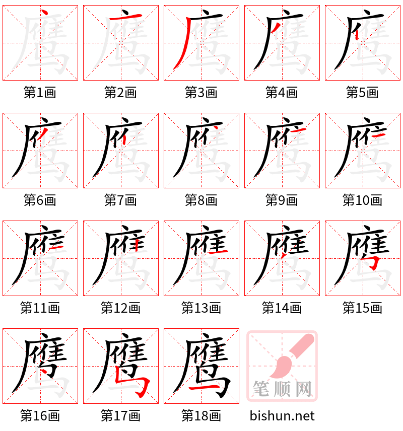 鹰 笔顺规范