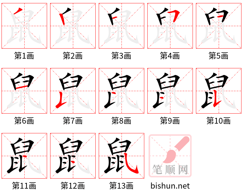 鼠 笔顺规范