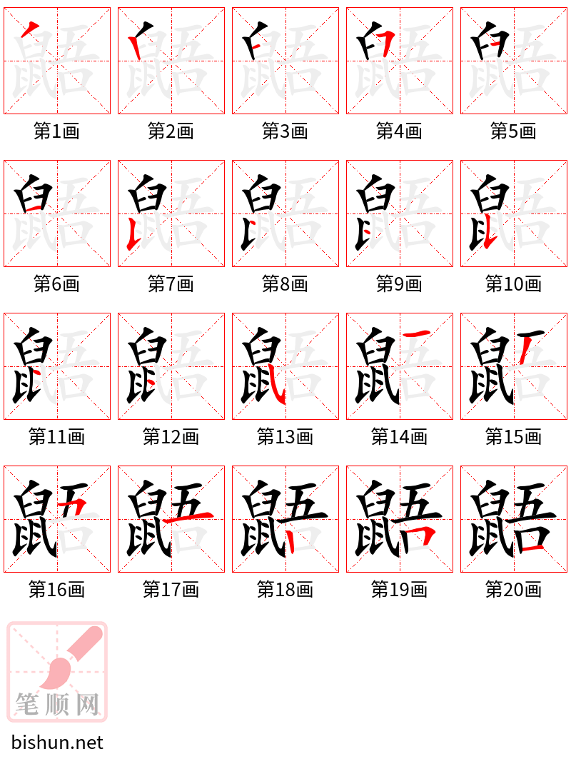 鼯 笔顺规范