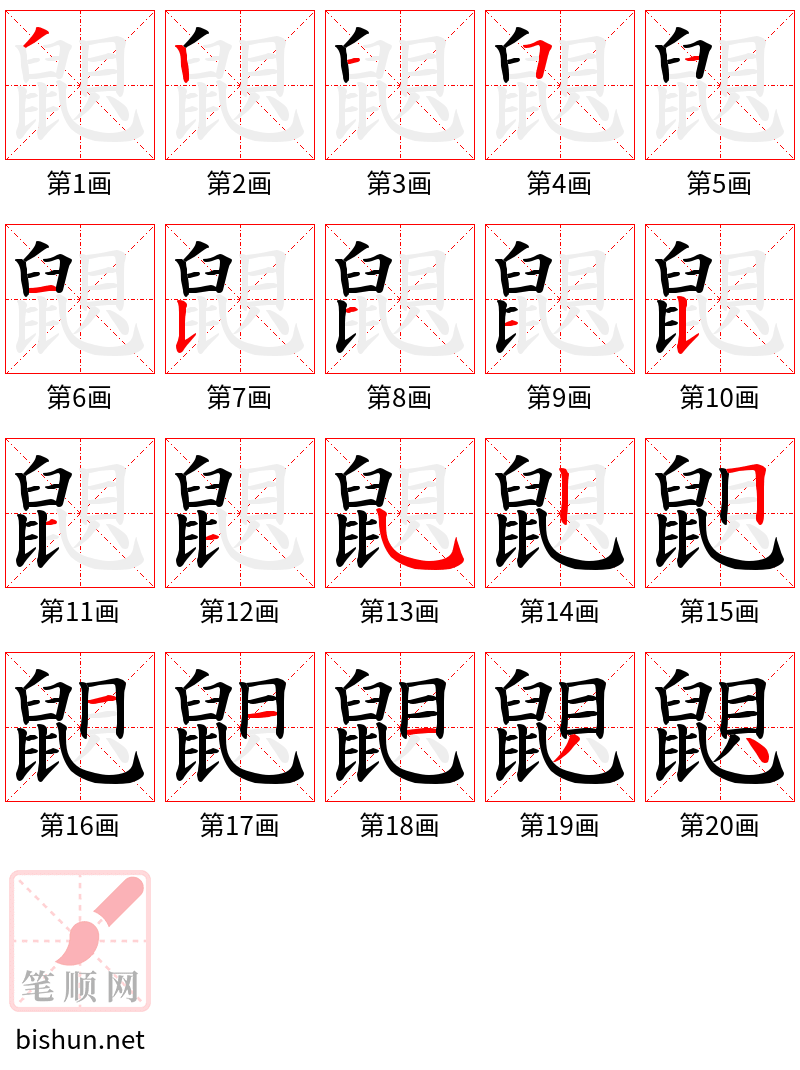 鼰 笔顺规范