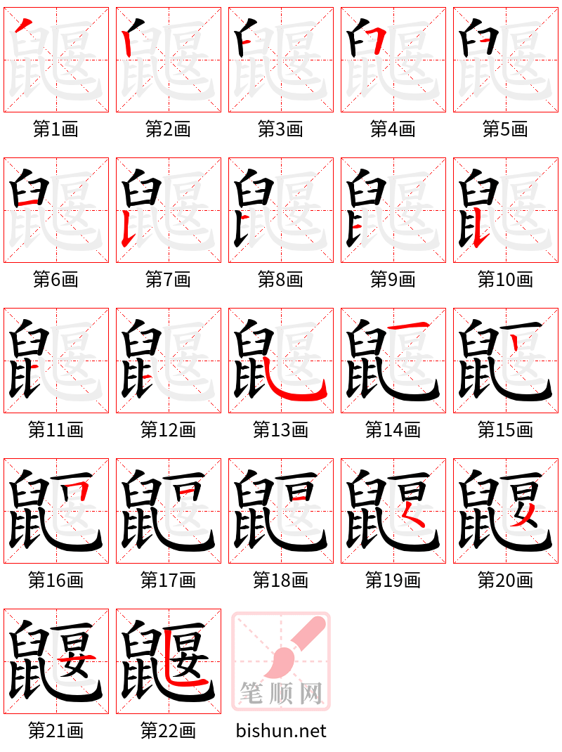 鼴 笔顺规范