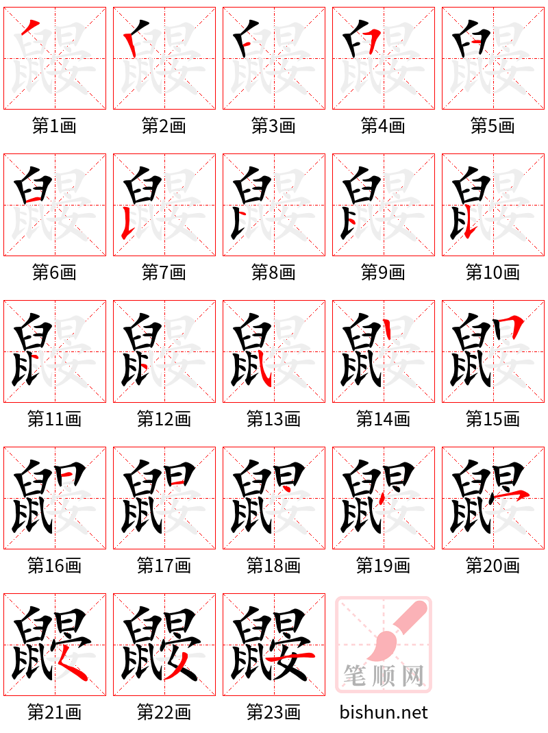 鼹 笔顺规范