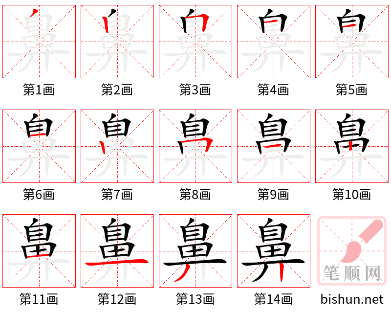 鼻 笔顺规范